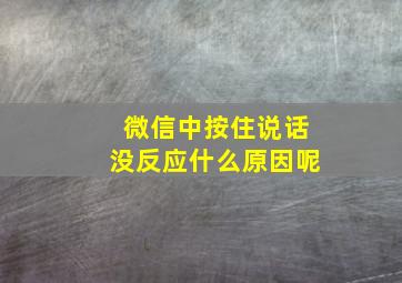 微信中按住说话没反应什么原因呢