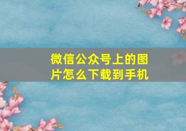 微信公众号上的图片怎么下载到手机