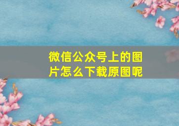 微信公众号上的图片怎么下载原图呢