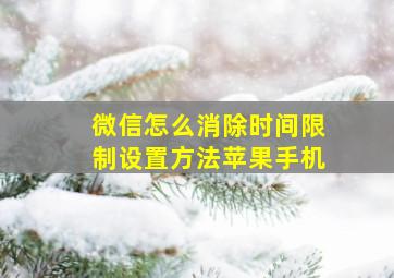 微信怎么消除时间限制设置方法苹果手机