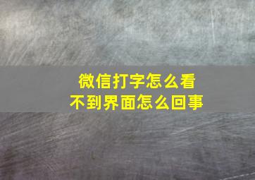 微信打字怎么看不到界面怎么回事