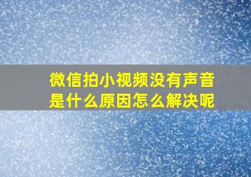 微信拍小视频没有声音是什么原因怎么解决呢