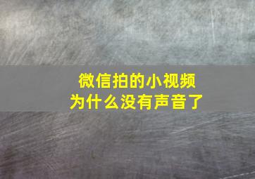 微信拍的小视频为什么没有声音了