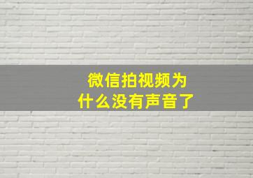 微信拍视频为什么没有声音了