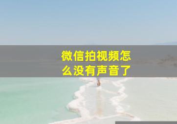 微信拍视频怎么没有声音了