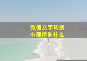 微信文字转换小程序叫什么