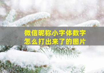 微信昵称小字体数字怎么打出来了的图片