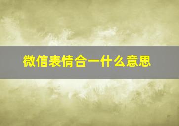 微信表情合一什么意思