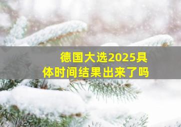 德国大选2025具体时间结果出来了吗