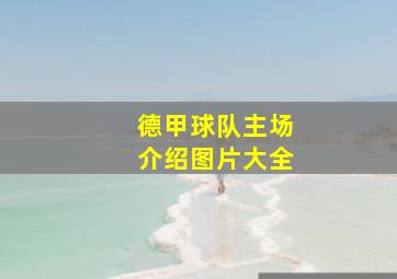 德甲球队主场介绍图片大全