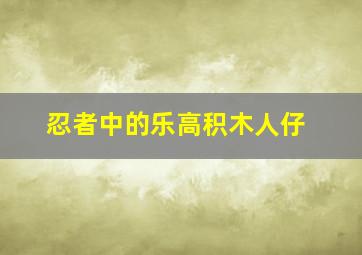 忍者中的乐高积木人仔