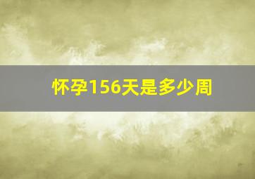 怀孕156天是多少周