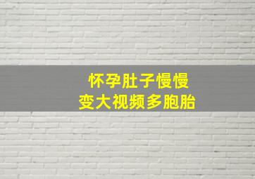 怀孕肚子慢慢变大视频多胞胎