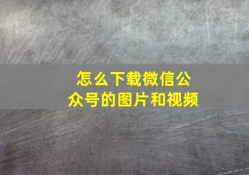 怎么下载微信公众号的图片和视频