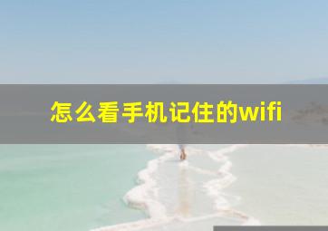 怎么看手机记住的wifi