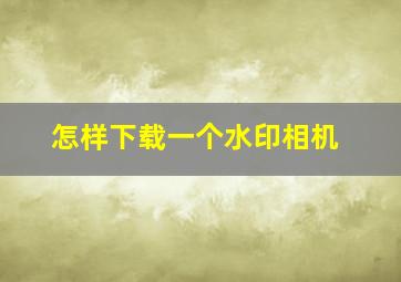 怎样下载一个水印相机