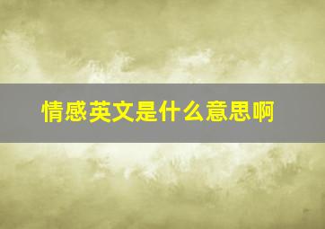 情感英文是什么意思啊