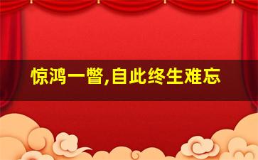 惊鸿一瞥,自此终生难忘