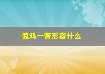 惊鸿一瞥形容什么