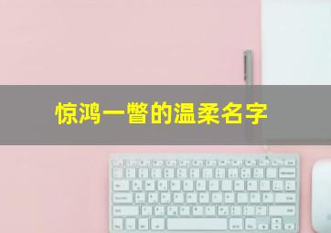 惊鸿一瞥的温柔名字