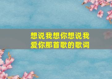 想说我想你想说我爱你那首歌的歌词