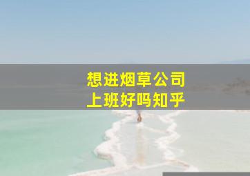 想进烟草公司上班好吗知乎