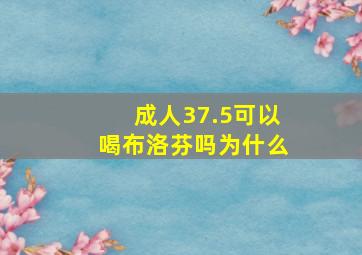 成人37.5可以喝布洛芬吗为什么