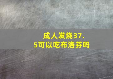 成人发烧37.5可以吃布洛芬吗