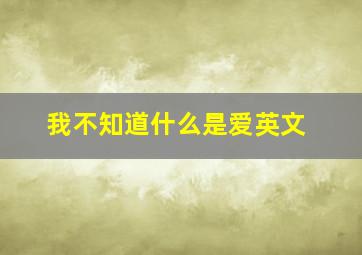 我不知道什么是爱英文