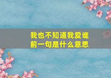 我也不知道我爱谁前一句是什么意思