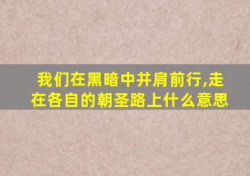 我们在黑暗中并肩前行,走在各自的朝圣路上什么意思