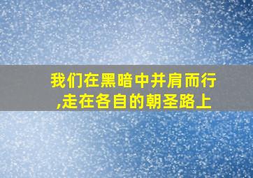 我们在黑暗中并肩而行,走在各自的朝圣路上