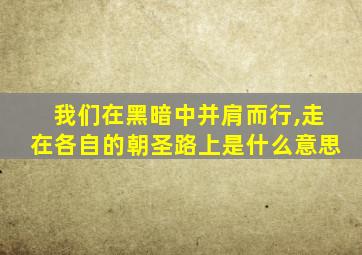 我们在黑暗中并肩而行,走在各自的朝圣路上是什么意思