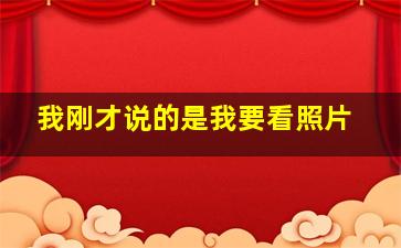 我刚才说的是我要看照片