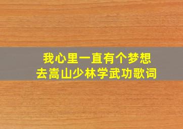 我心里一直有个梦想去嵩山少林学武功歌词