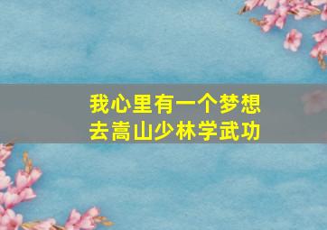 我心里有一个梦想去嵩山少林学武功