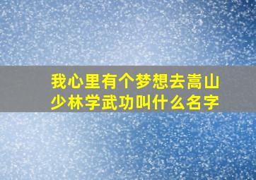 我心里有个梦想去嵩山少林学武功叫什么名字