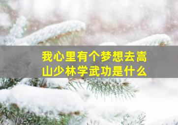 我心里有个梦想去嵩山少林学武功是什么