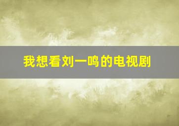 我想看刘一鸣的电视剧