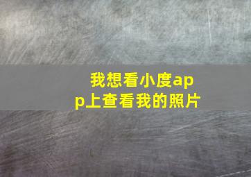 我想看小度app上查看我的照片