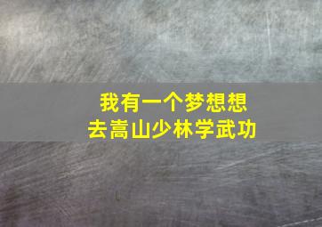 我有一个梦想想去嵩山少林学武功