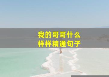 我的哥哥什么样样精通句子