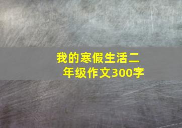 我的寒假生活二年级作文300字