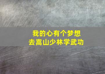 我的心有个梦想去嵩山少林学武功