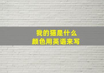 我的猫是什么颜色用英语来写