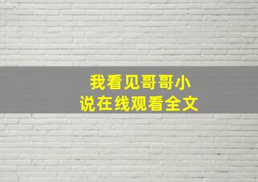 我看见哥哥小说在线观看全文