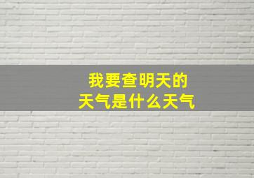 我要查明天的天气是什么天气