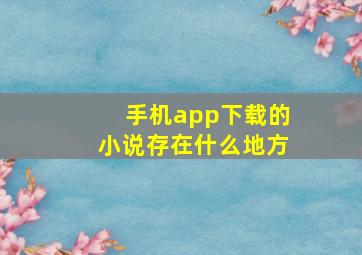 手机app下载的小说存在什么地方