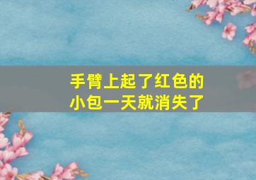 手臂上起了红色的小包一天就消失了