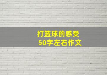 打篮球的感受50字左右作文